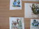 C1    LOT CHROMO DECOUPIS  ANIMAUX DIVERS CHAT CHATS  OISEAUX ANE OIE COLLE - Animaux