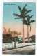 Palm Trees , Bermuda - No 19 - By Herrington &amp; Scheihauer - Old Postcard - Bermuda - Unused - Bermudes