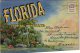 Etats Unis  Florida Tropical Wonderland  Carnet Souvenir De 9 Vues Recto-Verso Soit Un Total De 18 Vues (voir Scan) - Other & Unclassified