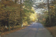 BHM 60 C.T. - Hawthorne Lane, Burnham Beeches - Buckinghamshire