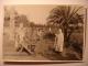 PHOTO TUNISIE ANNEES 1940-1950 - TOZEUR JARDIN D'ESSAI - JARDINIERS BROUETTE - 17X12 - BOSSOUTROT TUNIS  Tirage D'époque - Places