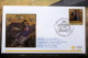 Delcampe - VATICAN 2013 - NATALE, VAVIDAD, NOEL, CHRISTMAS , OFFICIAL SPECIAL FOLDER NATALE MMXIII - Collections