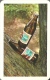 BEER * ALCOHOLIC DRINK * KOBANYAI BREWERY * BUDAPEST * BOTTLE * CALENDAR * KS 1977 1 * Hungary - Tamaño Pequeño : 1971-80