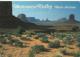 UNITED STATES  1992 –POSTCARD – MONUMENT VALLEY – UTAH-ARIZONA”  ADDR TO SWITZERLAND W 1 ST OF 40 C (AIRMAIL WILLIAM PIP - Monument Valley