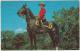 ROYAL CANADIAN MOUNTED POLICE  (1971) - Canada - Policeman On Horse - Politie-Rijkswacht