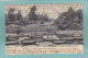 TOWER  GROVE  PARK  .  St  LOUIS  -  1907  -  CARTE PRECURSEUR  -  ( Timbre Enlevé ) - St Louis – Missouri