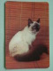 Cat / Kat / Chat 1993 ( Russia Sovjet Unie / 92-5689 ) ( Format 9 X 6 Cm - Zie Foto´s Voor Détails ! - Petit Format : 1991-00