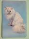 Cat / Kat / Chat 1993 ( Russia Sovjet Unie / 92-5689 ) ( Format 9 X 6 Cm - Zie Foto´s Voor Détails ! - Petit Format : 1991-00