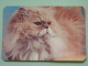 Cat / Kat / Chat 1993 ( Russia Sovjet Unie / 92-5689 ) ( Format 9 X 6 Cm - Zie Foto´s Voor Détails ! - Petit Format : 1991-00