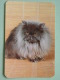 Cat / Kat / Chat 1993 ( Russia Sovjet Unie / 92-5689 ) ( Format 9 X 6 Cm - Zie Foto´s Voor Détails ! - Formato Piccolo : 1991-00