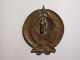 Badge For Hat (postmans Hat?) 6,5 X 5 Cm - Russie