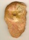 2 Ammonites  Aalénien ( Belmont France ) 6 X 5 Cm Et   5,5 X 4,5 Cm Belles  Sutures Visibles - Fossielen