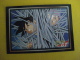 PANINI Trading Cards Dragonball GT / N°41 - Dragonball Z