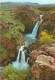 CPM - GOLAN HEIGHTS - The Doves Waterfall At Wadi Saar Near The Banias Springs - Israël