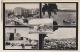 Palestine / Israel - Multiview Postcard, 1930's - Palestine