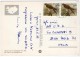 ICELAND - AERIAL VIEW OF LAKAGIGAR / THEMATIC STAMPS-BIRD (FALCO COLUMBARIUS) - Iceland