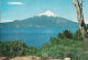 CPA-1950-CHILI-VOLCAN OSORNO-LAGO LLANQUIHUE-SUR DE CHILE-TBE - Cile