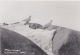 Churchill, Manitoba - Ptarmigan Birds, Older Real Photo - Churchill