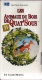 LES ANIMAUX DU BOIS DE QUAT'SOUS 25mm CASSETTE ENFANTS NEUVE SOUS BLISTER VHS COULEUR N°11 AVEC FRANCE 3 UN CALME MORTEL - Audio-Video