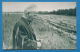 140040 / WRITER Russia - Mikhail Aleksandrovich Sholokhov - Nobel Prize In Literature 1965 Cereal Field - Publ. Russie - Premio Nobel