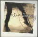 ALAIN BASHUNG "CONFESSIONS PUBLIQUES" CD PROMO 8 TITRES TRES BON ETAT SUPERBE PLAQUETTE CARTONNEE PORT OFFERT - Varia