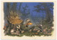 USSR Russia Stationery Card 1962 Mushrooms Bunny Badger Forest Pilze Hase Dachs Wald °PK0099 MNH - Pilze