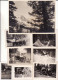 Delcampe - Valle D'Aosta	 - Courmayeur -	Monte Bianco - Lotto Di N. 50  Foto  - Anni '40  - Formati Vari - Aosta