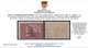 ITALY - EGEO OCC. TEDESCA  N.118-125 - Cat.1150 Euro - GOMMA INTEGRA - MNH** - Con Certificato - Egeo (Ocu. Alemana)