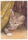 CPM - CHATS - Illustrateur "LE PERE" - 4 Cartes Différentes éditions Decoreve - Cats