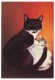 CPM - CHATS - Illustrateur "J. Delevau-Sauzey" - 6 Cartes Différentes éditions Decoreve - Cats