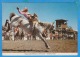 CANADA CALGARY RODEO HORSES POSTCARD SENT ROMANIA PAR AVION - Calgary