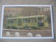 80 ANNI ATM - TRAM FILOBUS AUTOBUS SABBIERA - CARTOLINE NUOVE - Tramways