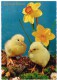 Lots De 4 Cartes Postales "Joyeuses Pâques" - Easter