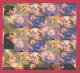 Delcampe - NEDERLAND, 1996, Mint Stamps In Yearset, Official Presentation Pack ,NVPH Nrs. 1664/1705 - Komplette Jahrgänge