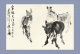 (N54-059  )  Anes Esel Donkey Burros Y Asnos, Postal Stationery-Entier Postal-Ganzsache-Postwaar Destuk - Anes
