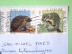 Belgium 2013 Cover To Nicaragua - Philately - Christmas - Animals Squirrel Hedgehog Possum Loir Herisson - Briefe U. Dokumente