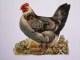 "" JOLI  LOT  3  DECOUPIS  GAUFRES  //   BASSE  COUR    ""7,50 CM - Animals