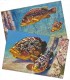 MONACO: Lot De 5 Cartes Neuves. Platax, Sepia, Conger, Seyllium, Epinephelus. Détails Au Verso - Oceanografisch Museum