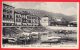 [DC6132] LAGO MAGGIORE - STRESA - PORTO E CORSO RE UMBERTO I - Viaggiata - Old Postcard - Verbania