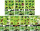 Delcampe - A02367 China Phone Cards Hexapod 33pcs - Sonstige & Ohne Zuordnung