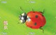A02368 China Phone Cards Ladybug Puzzle 40pcs - Coccinelles