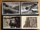 Albert Steiner 11 Cartes Postales - 5 - 99 Cartes