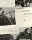 Delcampe - 1941 Guerre ALLEMAGNE-RUSSIE ; Portrait Soie De Pétain ;Secours National ; Cheval Roi à Paris; Elevage Du Lapin Partout - L'Illustration