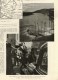 Delcampe - 1941 BEYROUTH ; Usines à Graines; SNCF Vapeur Et électrique ;Camp Prisonniers Français;  ZOO Pouponnière - L'Illustration