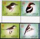 Delcampe - QATAR / 2009 / BIRDS / VOGEL / 12 MNH STAMPS + MS / 9 SCANS . - Qatar