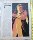 FREDDY MERCURY-QUEEN-,JIMMY PAGE?-ROCK STAR,0NE PAGE FROM CIRCUS MAGAZINE - Affiches & Posters
