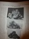 1942 Guerre Mondiale;Salon Des Prisonniers;Riom; Dessins Enfants Pour Pétain;Micros Sous-marins JAPON; Carbofeuille - L'Illustration