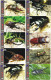 A02408 China Phone Cards Insect 143pcs - Other & Unclassified