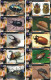 Delcampe - A02408 China Phone Cards Insect 143pcs - Other & Unclassified