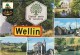 WELLIN - Station Verte De Vacances - 2 Scans - Wellin